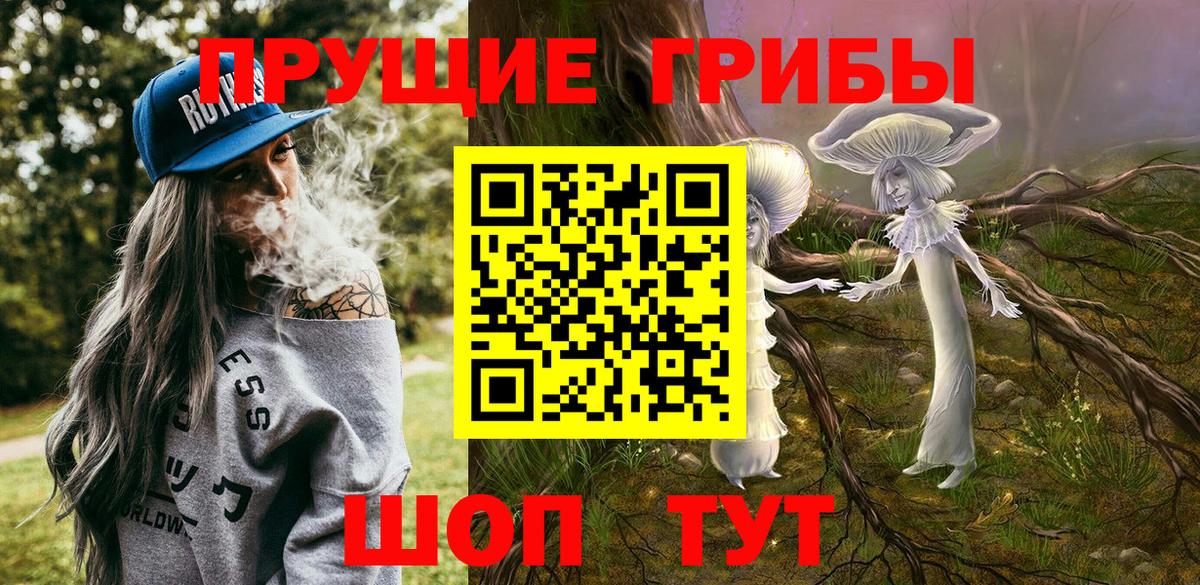 Псилоцибиновые грибы GOLDEN TEACHER  Псилоцибиновые грибы Magic Shrooms  Канск  Вход с VPN 